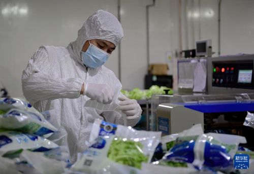 探訪大型無人植物工廠 通信技術驅動農業革新