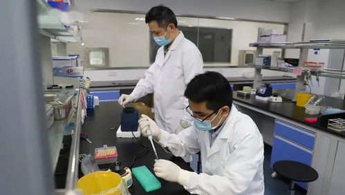 科技抗疫新突破 滬企融合通信技術，核酸檢測時間大幅縮短至1小時