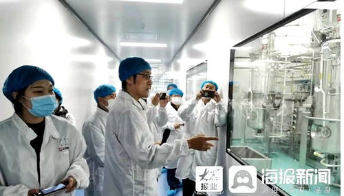 石藥集團煙臺生物醫藥高科技產業園 打造全國最大生物醫藥產業化基地，融合通信技術開發新動能